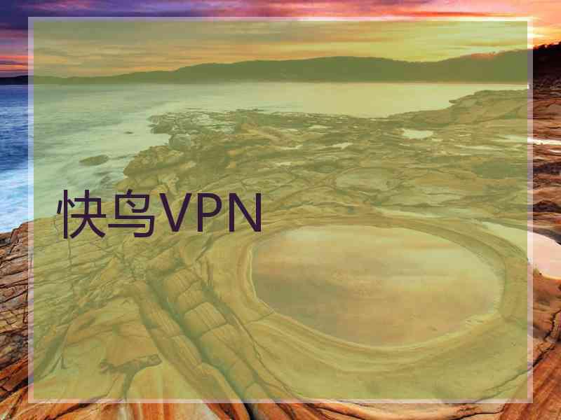 快鸟VPN