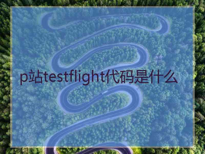 p站testflight代码是什么