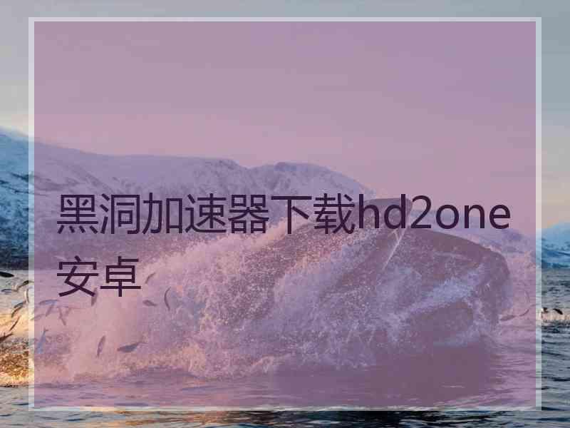 黑洞加速器下载hd2one安卓