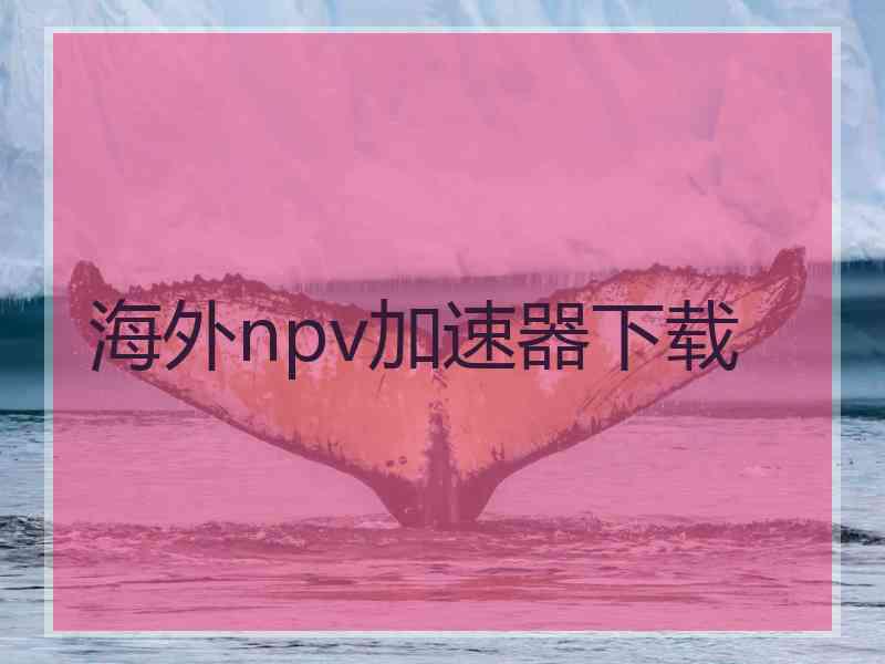 海外npv加速器下载