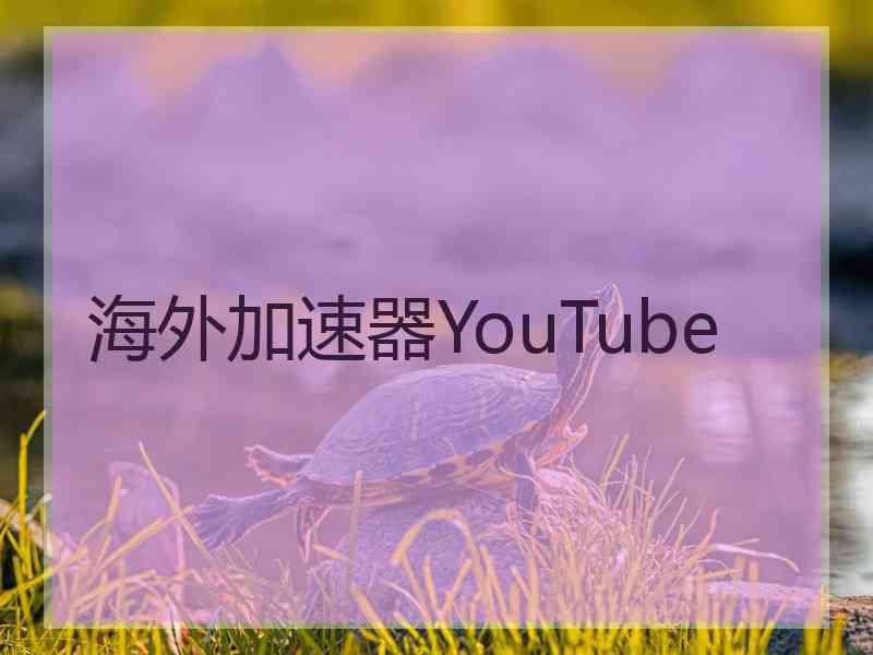 海外加速器YouTube