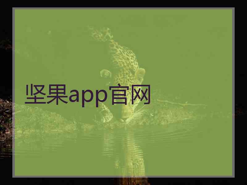 坚果app官网