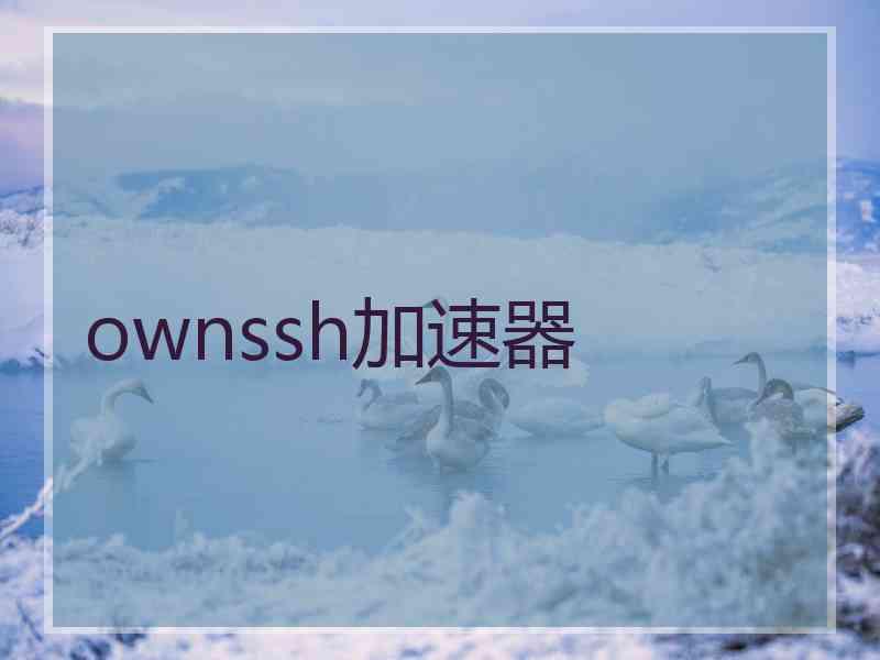 ownssh加速器