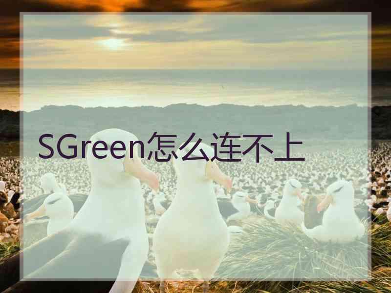 SGreen怎么连不上