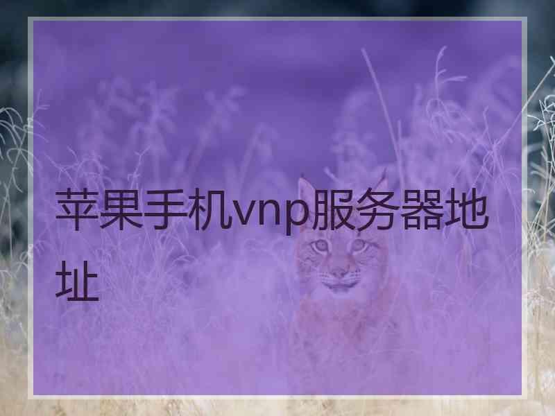 苹果手机vnp服务器地址