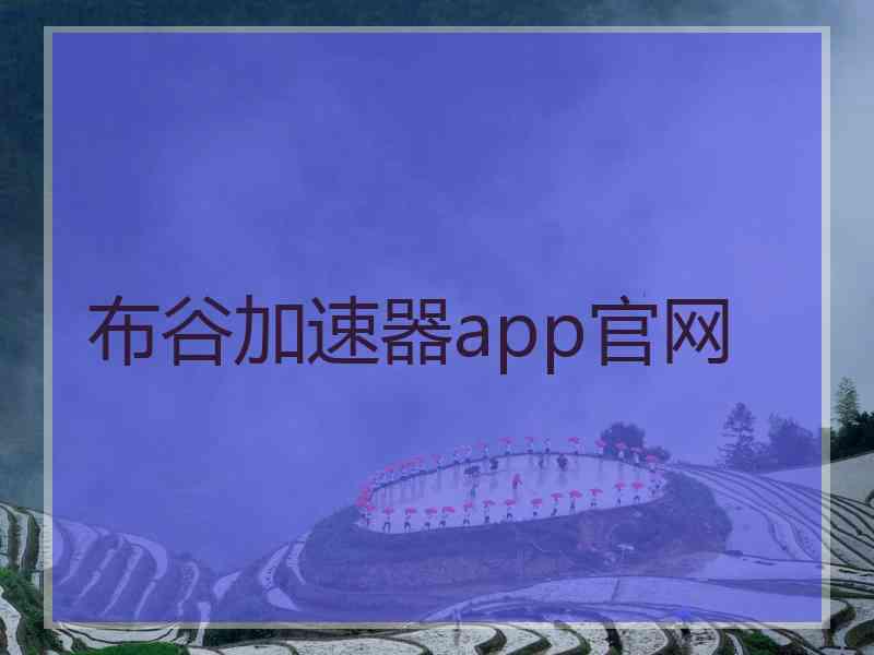 布谷加速器app官网