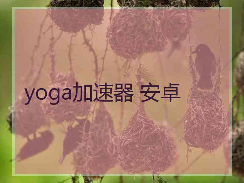 yoga加速器 安卓