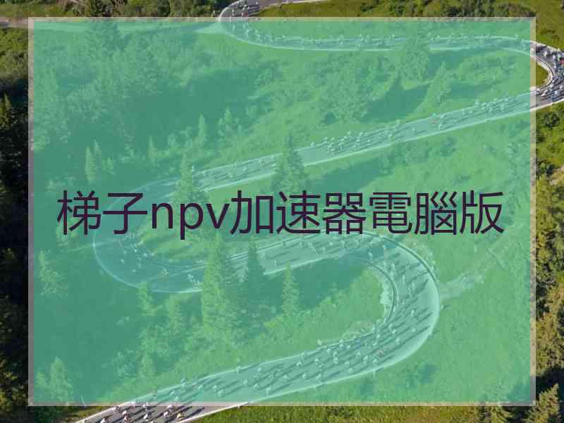 梯子npv加速器電腦版