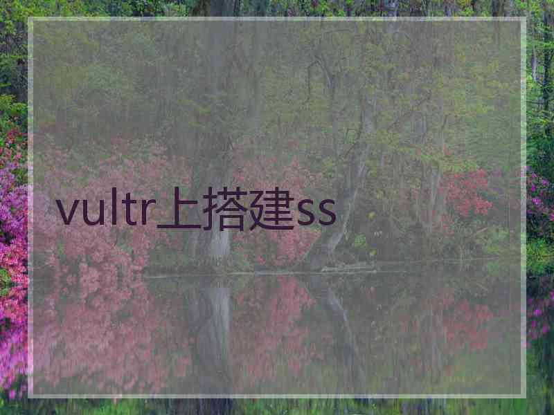 vultr上搭建ss