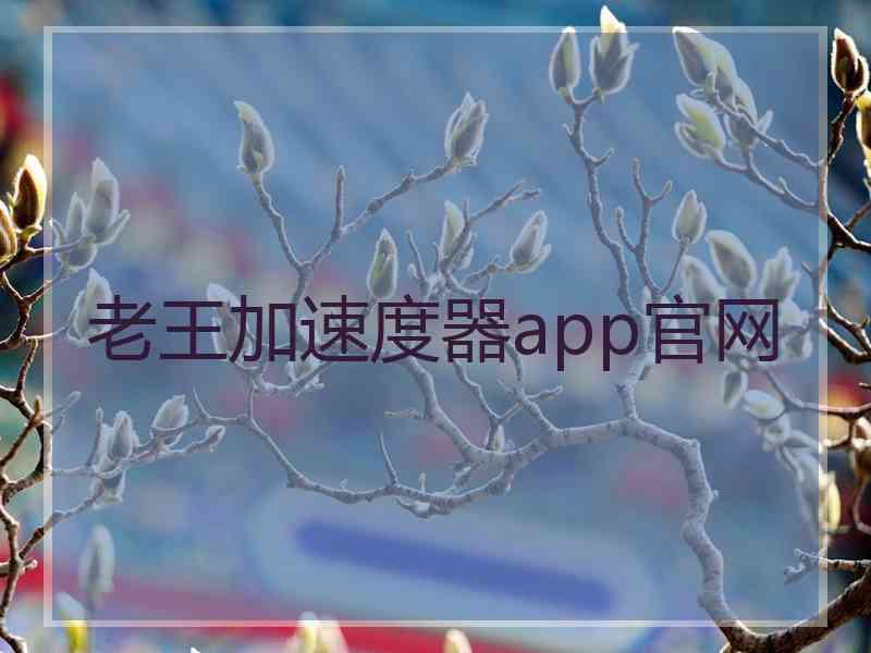 老王加速度器app官网