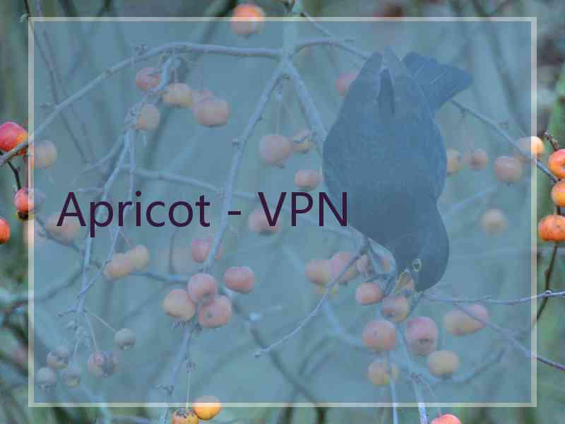 Apricot - VPN