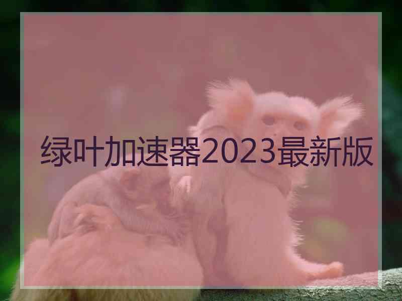 绿叶加速器2023最新版