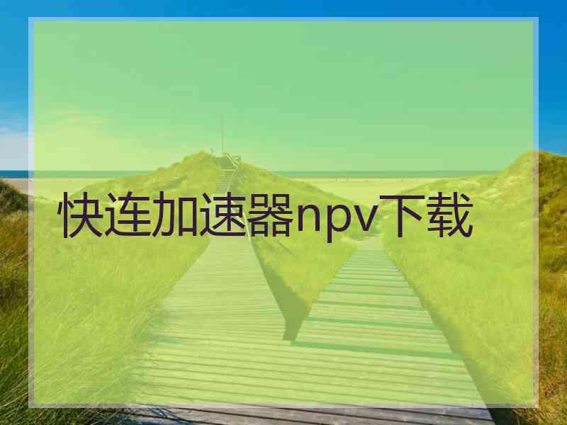 快连加速器npv下载