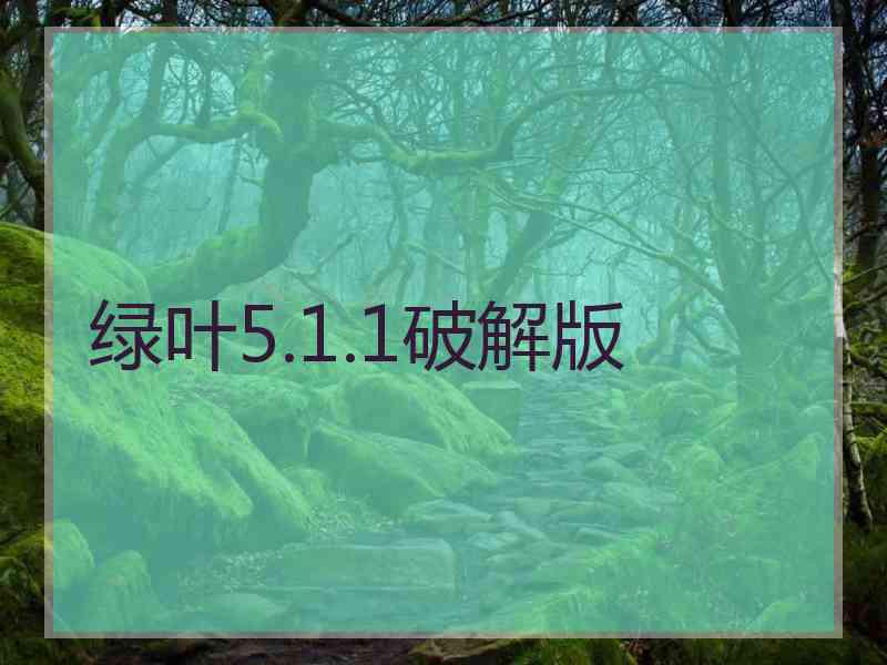 绿叶5.1.1破解版