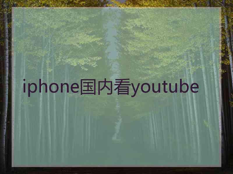 iphone国内看youtube