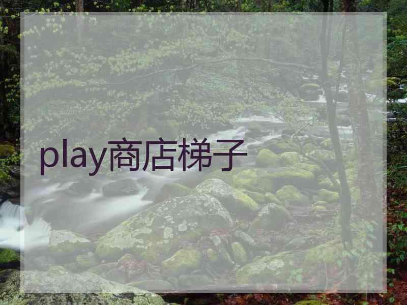 play商店梯子