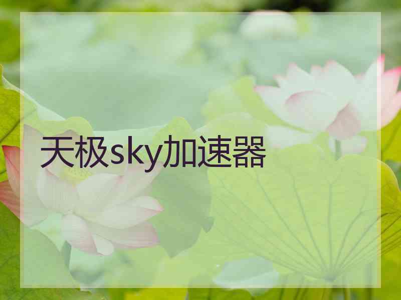 天极sky加速器