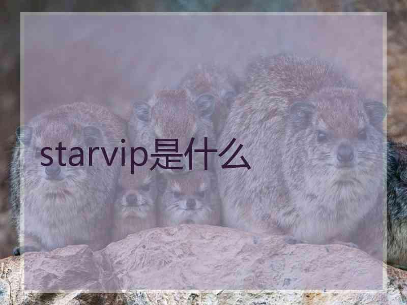 starvip是什么