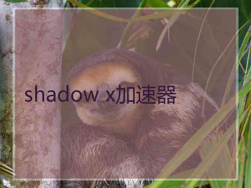 shadow x加速器