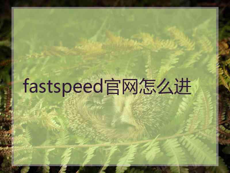 fastspeed官网怎么进