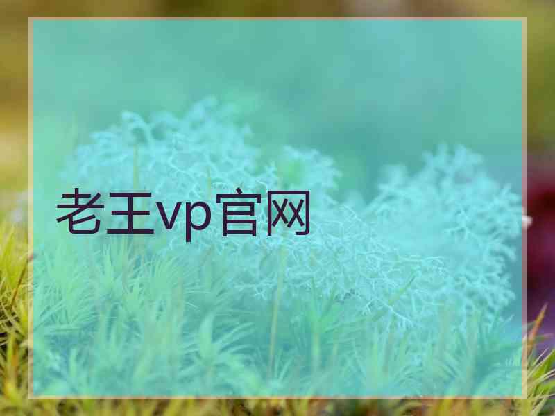 老王vp官网