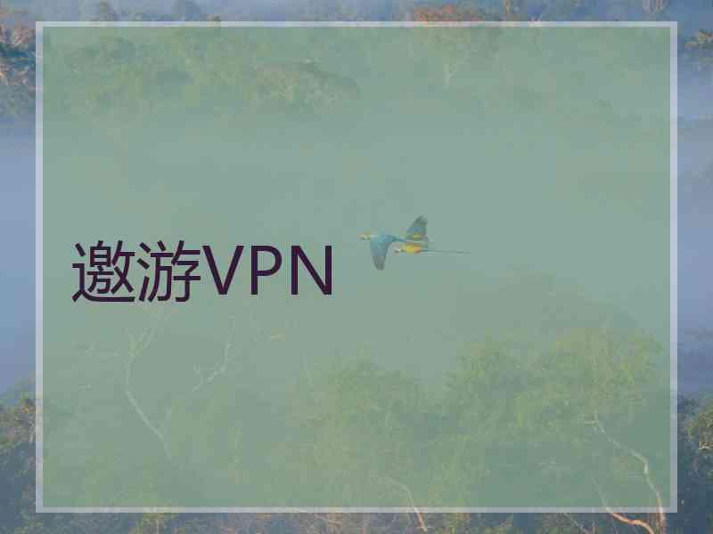 邀游VPN