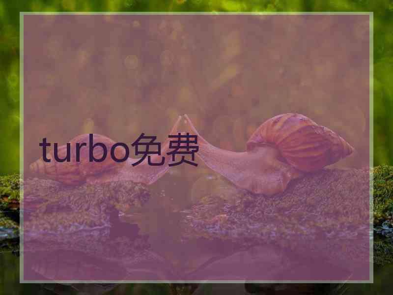 turbo免费