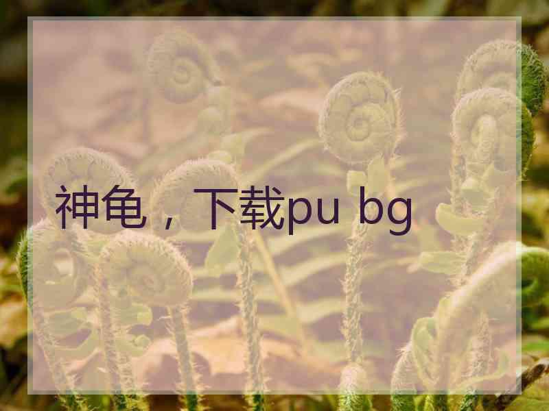 神龟，下载pu bg