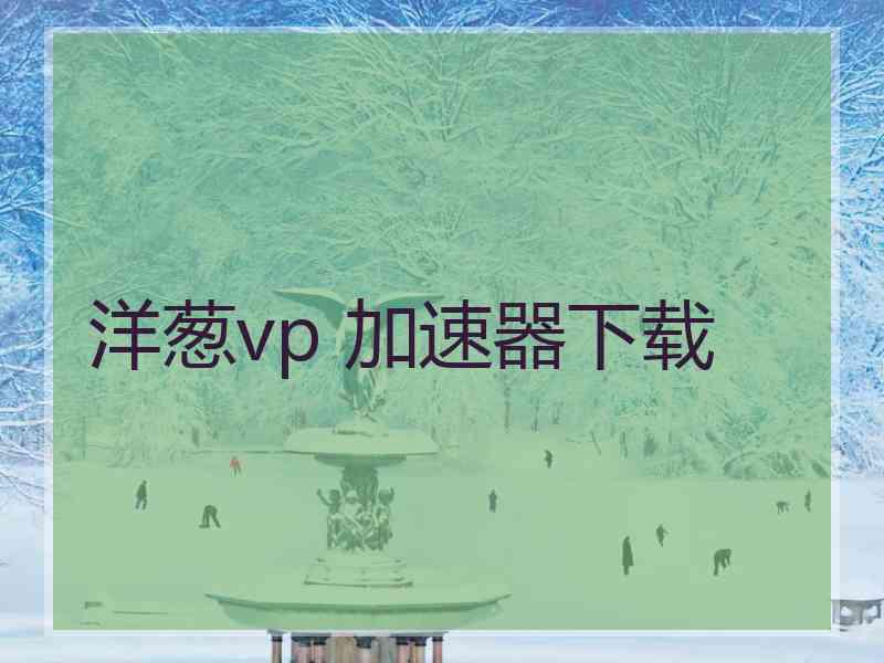 洋葱vp 加速器下载