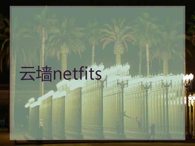 云墙netfits