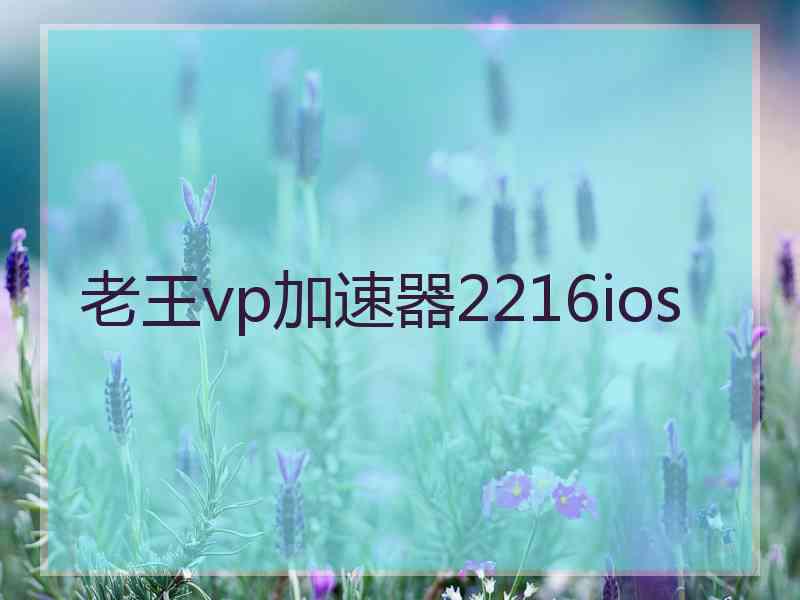 老王vp加速器2216ios