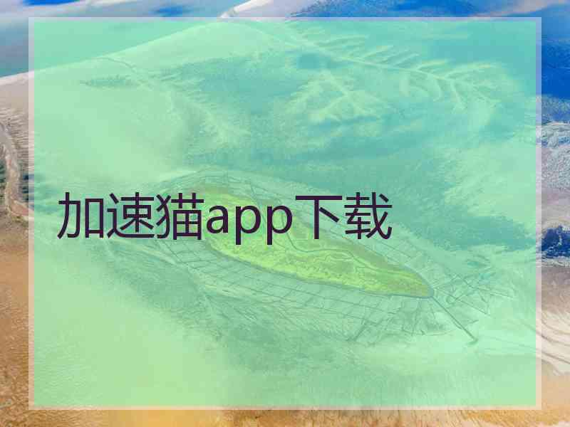 加速猫app下载