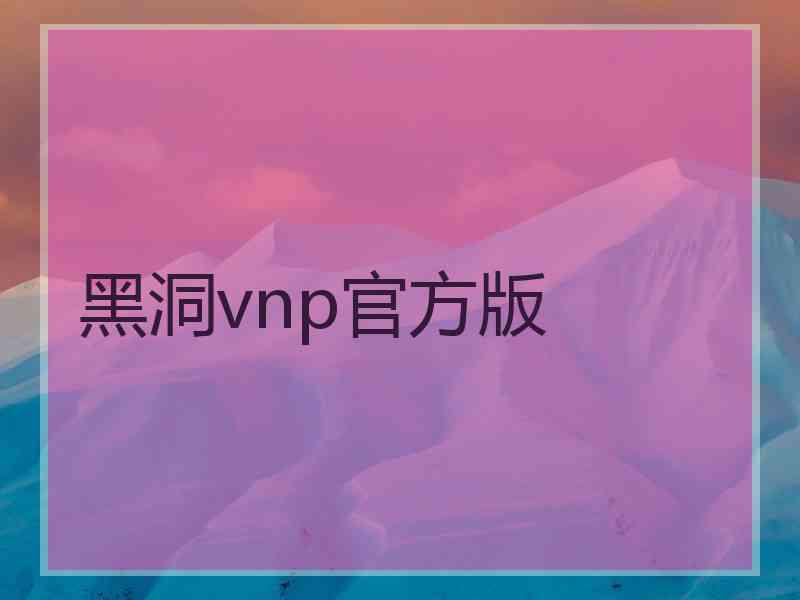 黑洞vnp官方版