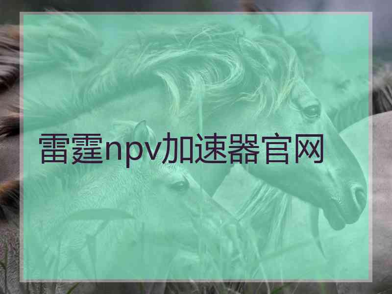 雷霆npv加速器官网