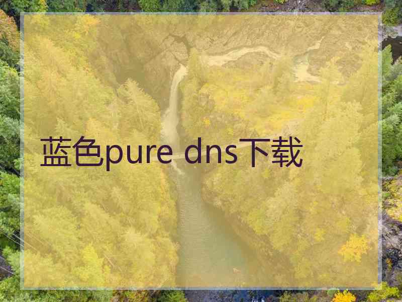 蓝色pure dns下载