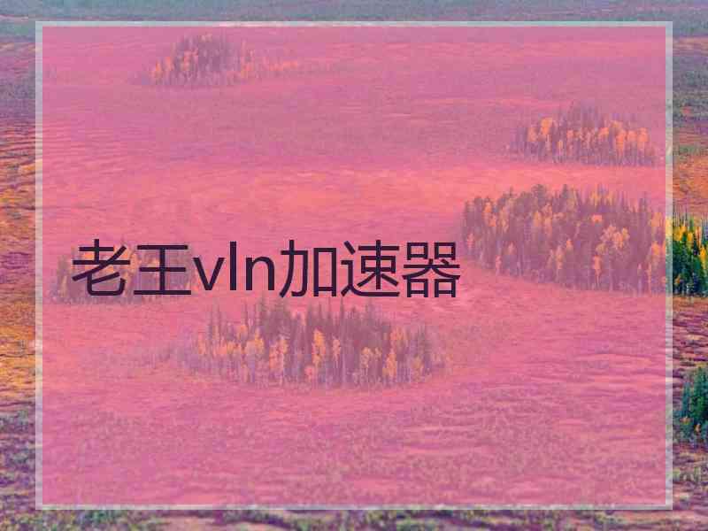 老王vln加速器