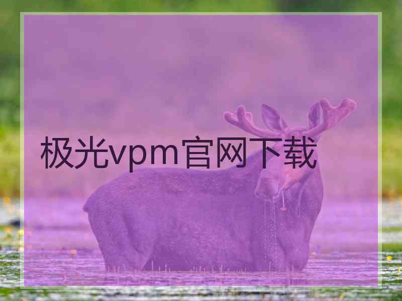 极光vpm官网下载