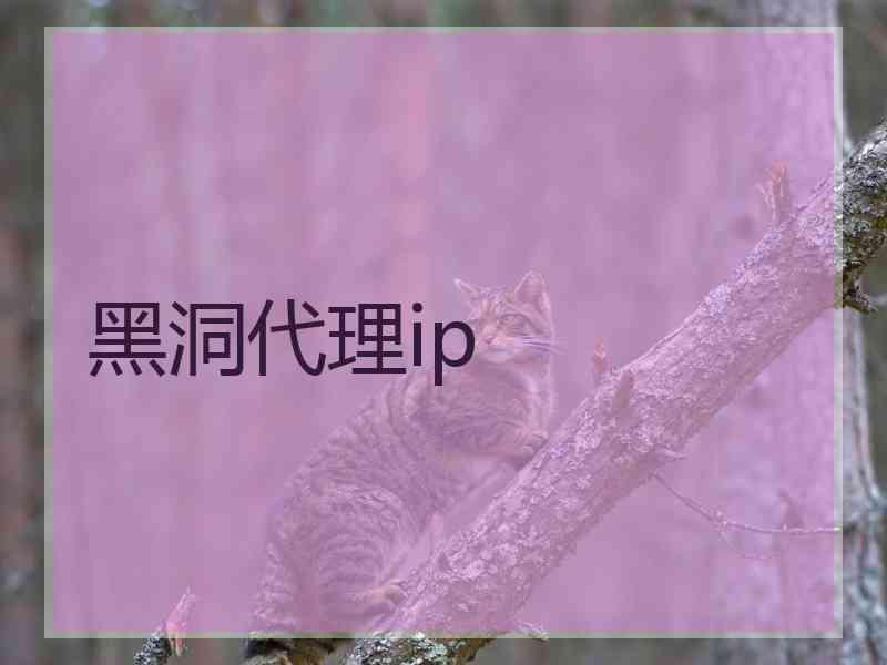 黑洞代理ip