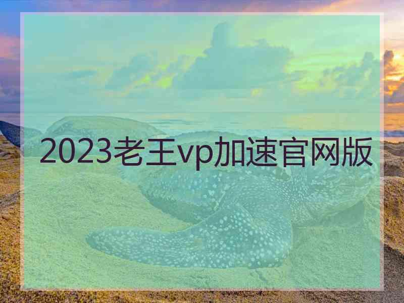 2023老王vp加速官网版