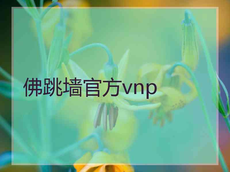 佛跳墙官方vnp