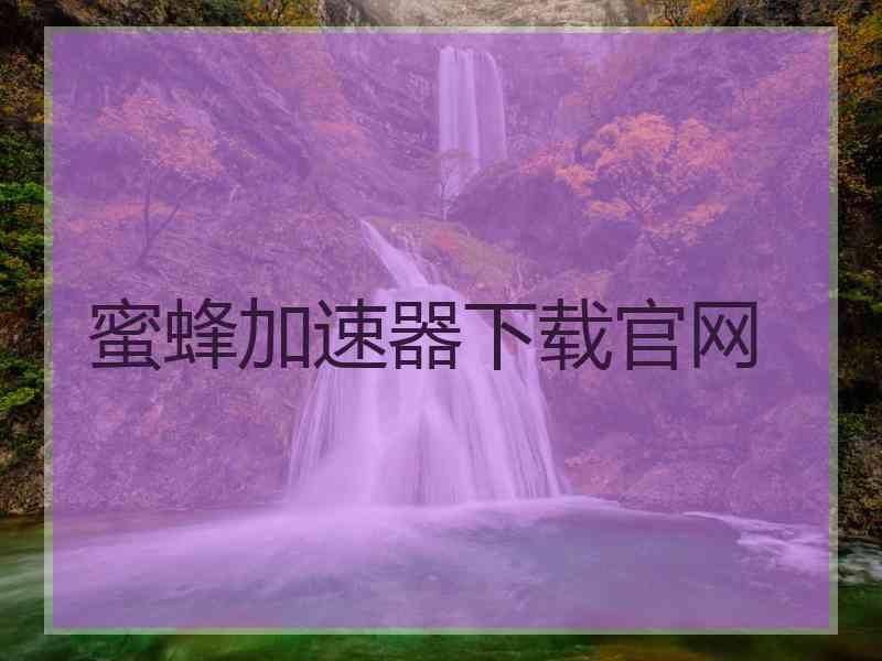 蜜蜂加速器下载官网