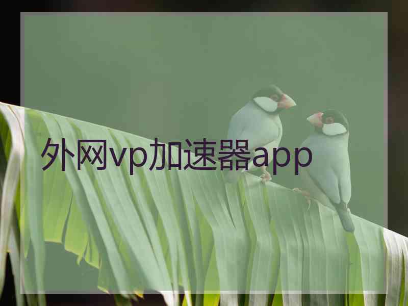 外网vp加速器app