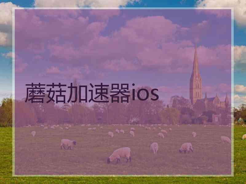 蘑菇加速器ios