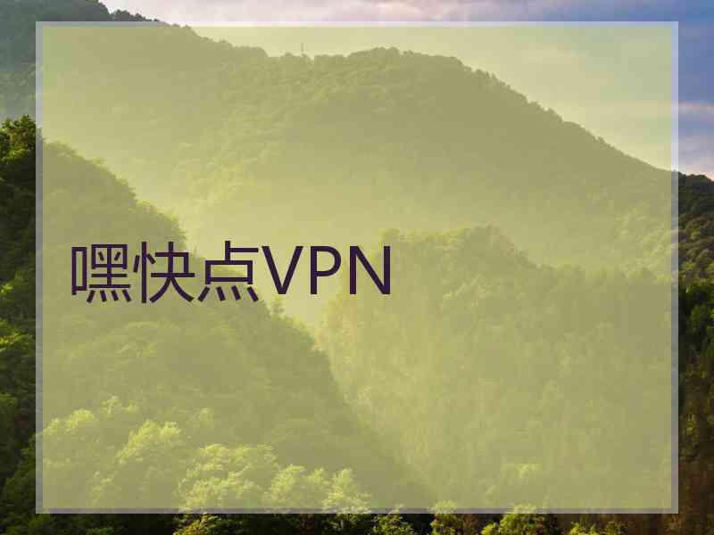 嘿快点VPN