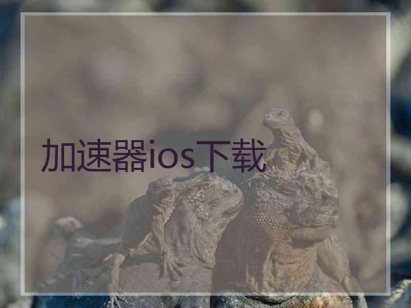 加速器ios下载