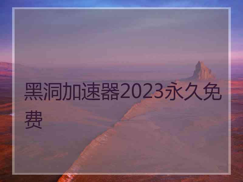 黑洞加速器2023永久免费