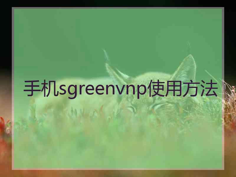 手机sgreenvnp使用方法