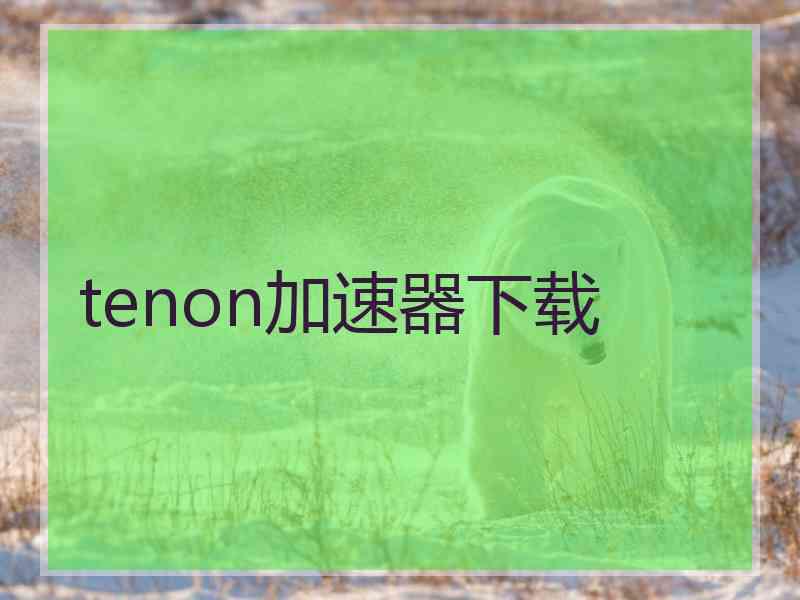 tenon加速器下载