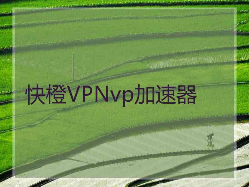 快橙VPNvp加速器