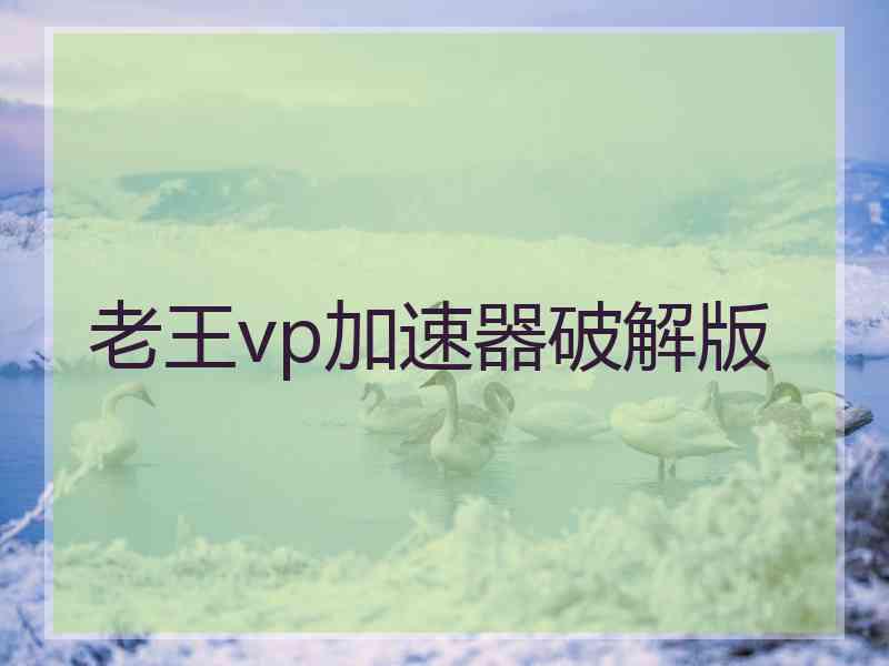 老王vp加速器破解版